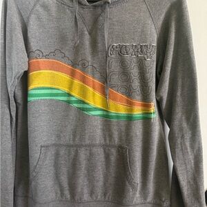 Roxy Gray Hoodie with Colorful Wave Design